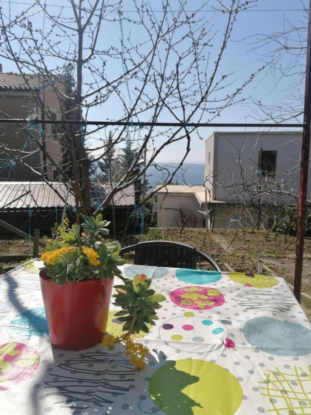Apartments Olgi - Free Parking Crikvenica Extérieur photo